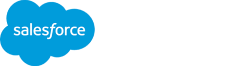 Salesforce partner